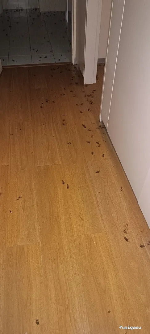 Tiétar Control de Plagas