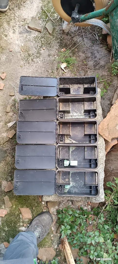 Tiétar Control de Plagas