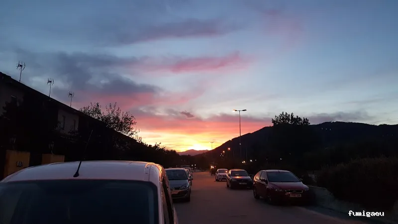 Tiétar Control de Plagas