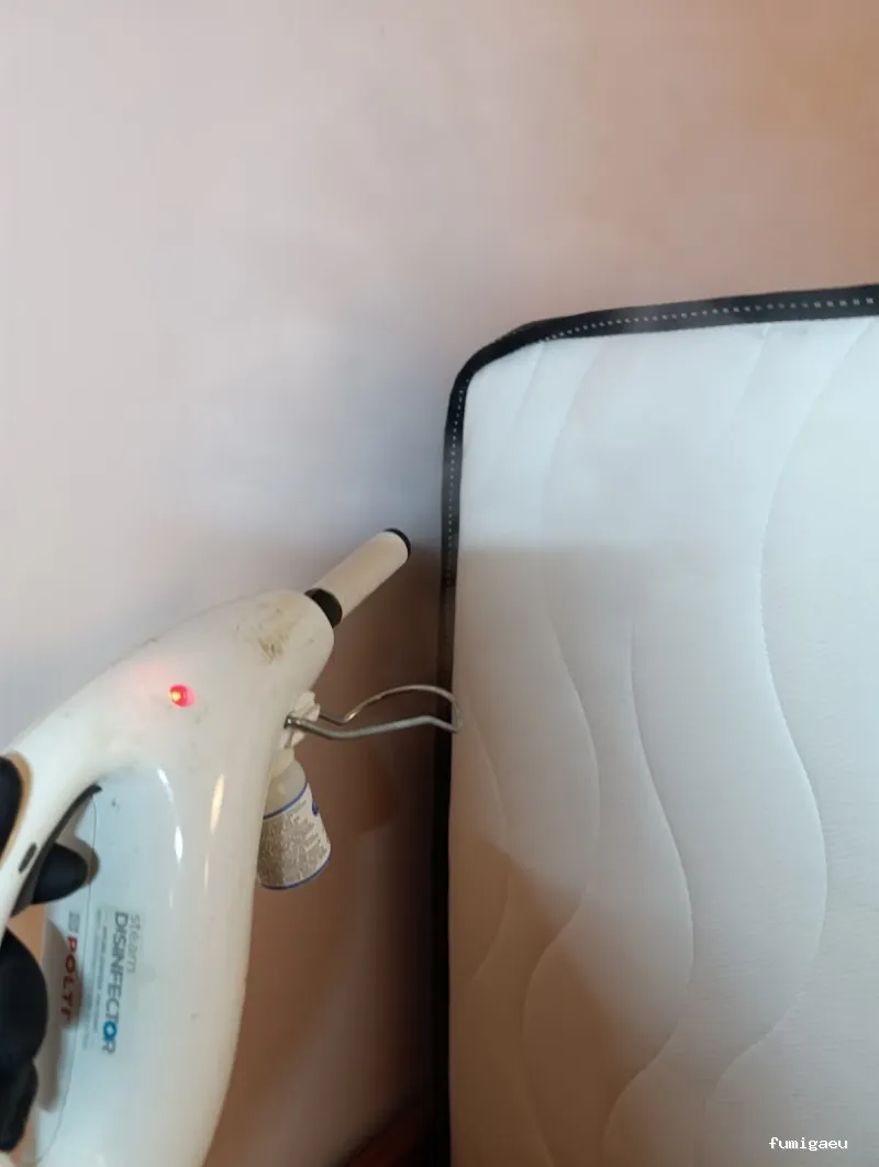 Tiétar Control de Plagas