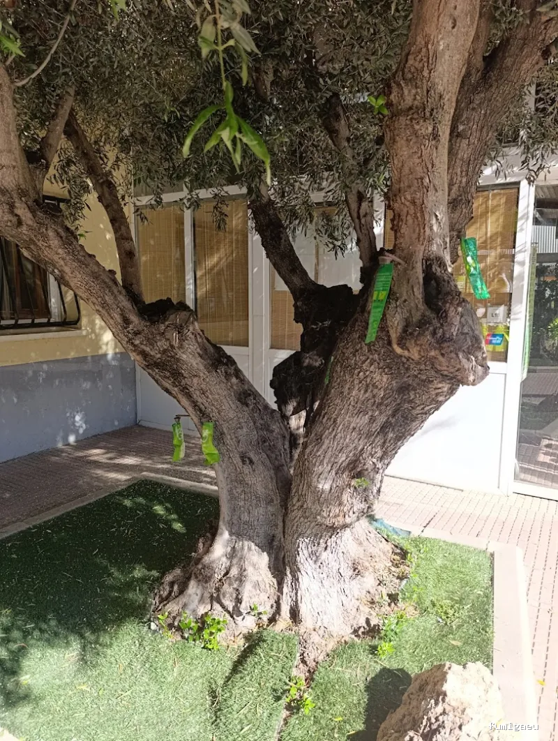 Tiétar Control de Plagas