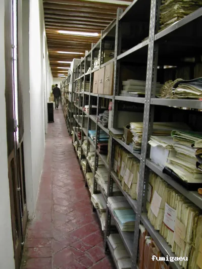 TSA, Conservación de Patrimonio