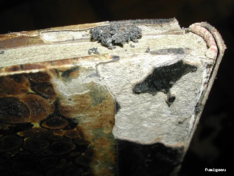 TSA, Conservación de Patrimonio