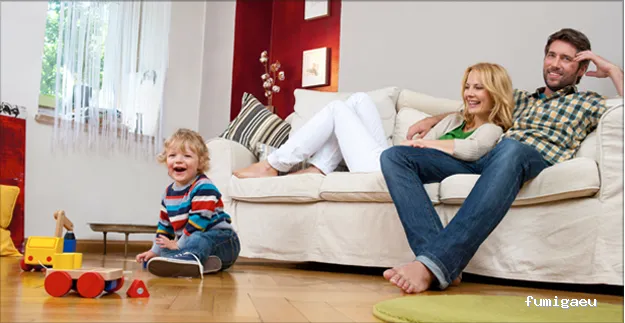 TSA, Conservación de Patrimonio