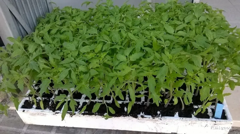 La Casa Del Labrador