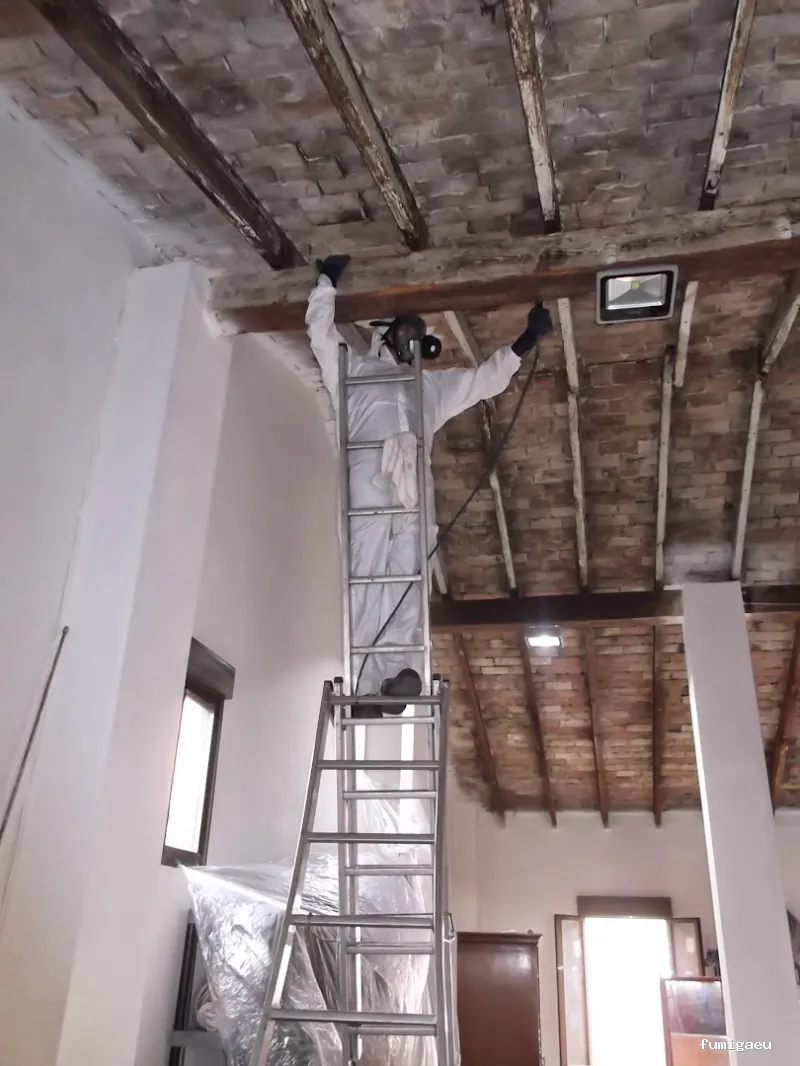 Celterra -eficiencia contra plagas-