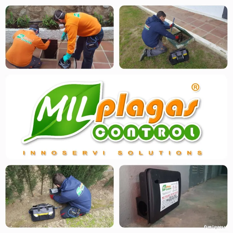 Milplagas Control