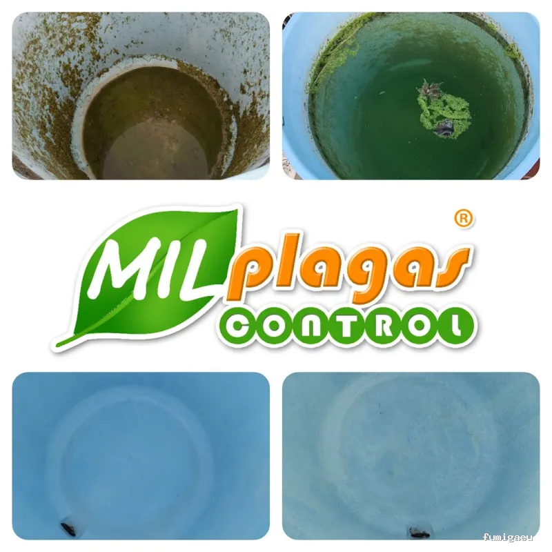 Milplagas Control
