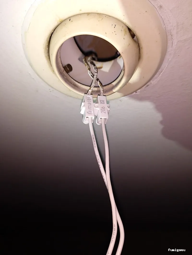 Control de Plagas EXPLAGA