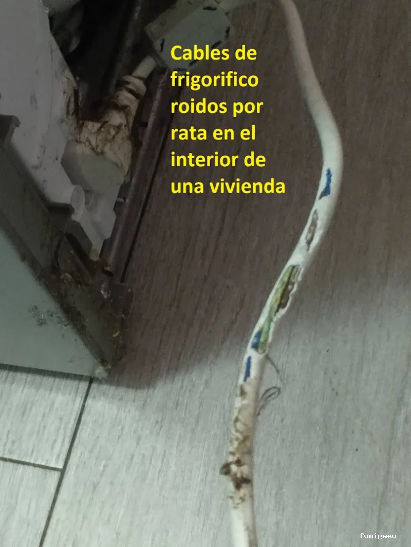 Control de Plagas EXPLAGA