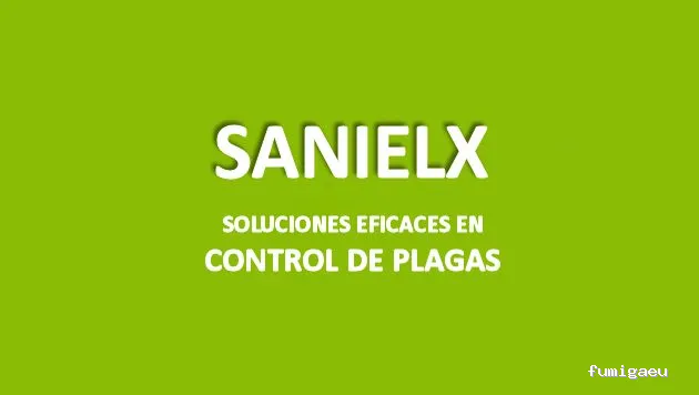 Sanielx