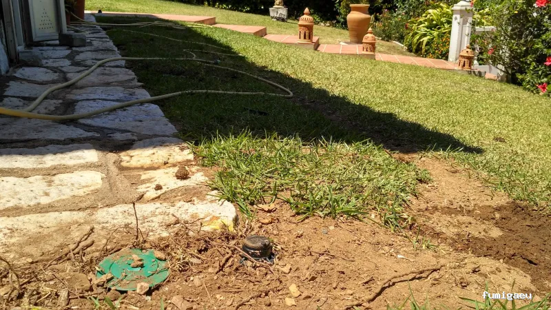 Gimasur - Control de Plagas y Legionella en Málaga