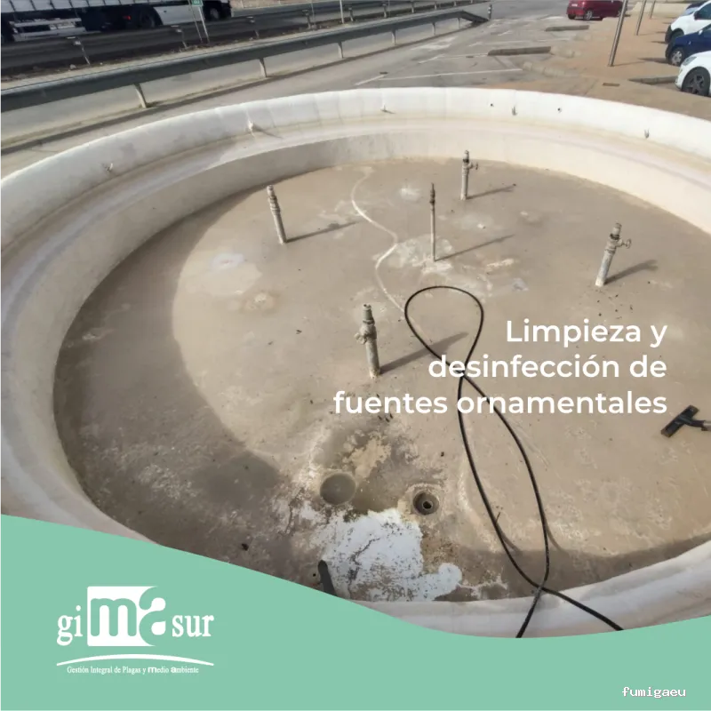 Gimasur - Control de Plagas y Legionella en Málaga