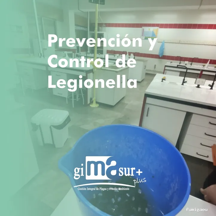 Gimasur - Control de Plagas y Legionella en Málaga