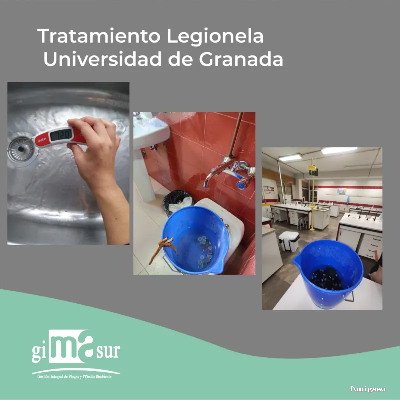Gimasur - Control de Plagas y Legionella en Málaga