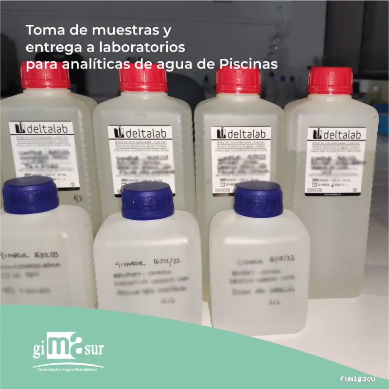 Gimasur - Control de Plagas y Legionella en Málaga