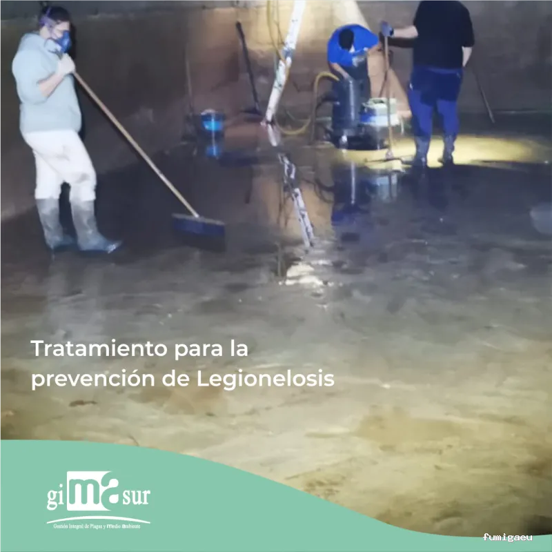 Gimasur - Control de Plagas y Legionella en Málaga