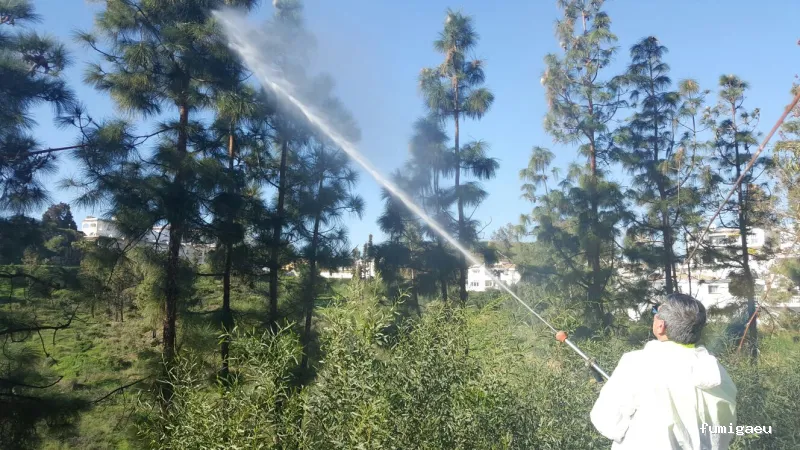 Gimasur - Control de Plagas y Legionella en Málaga