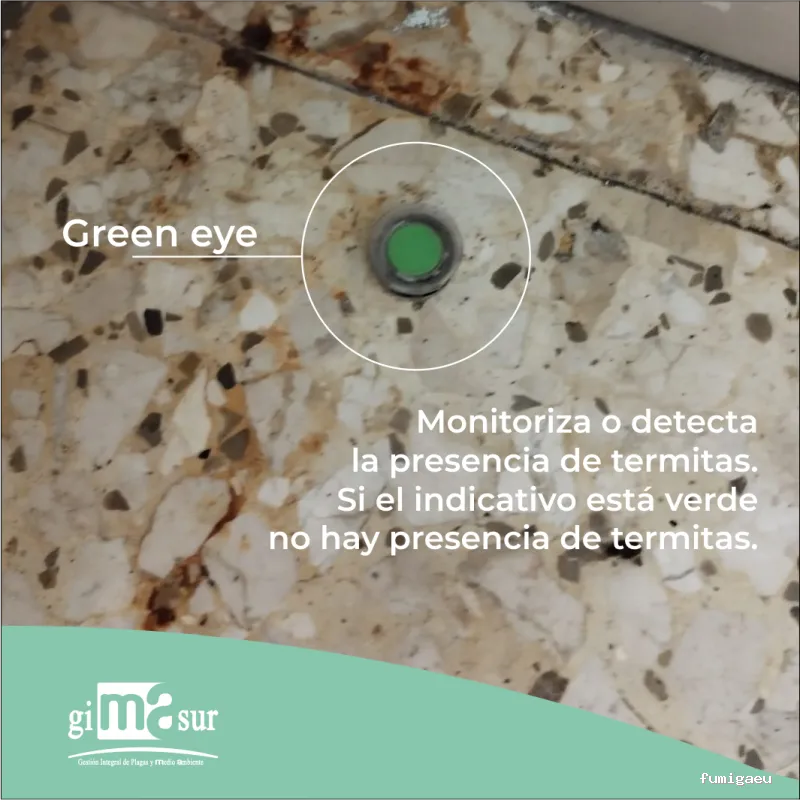 Gimasur - Control de Plagas y Legionella en Málaga