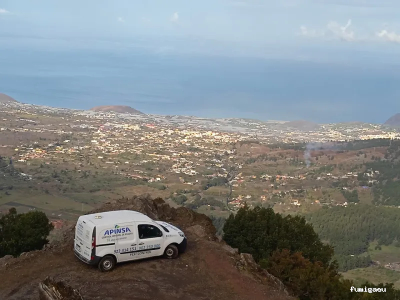 Apinsa La Palma