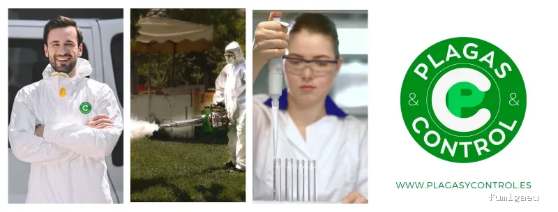 Plagas & Control