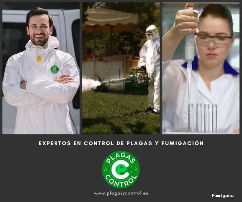 Plagas & Control