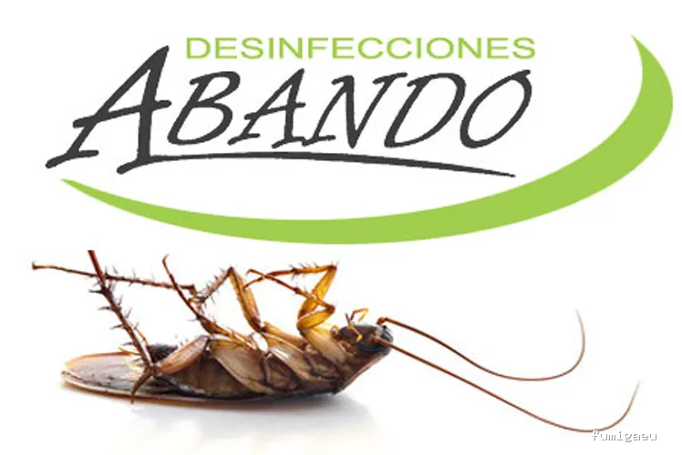 Desinfecciones Abando