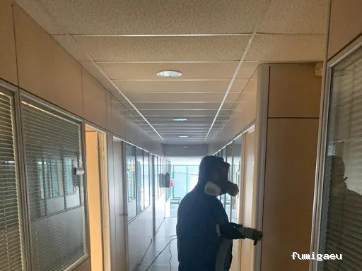 Sanitersur Control de Plagas SL