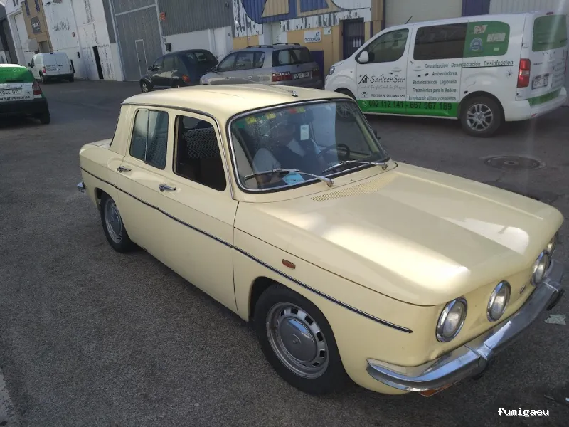 Sanitersur Control de Plagas SL