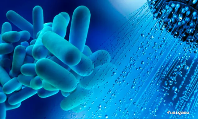 Sanitersur Control de Plagas SL