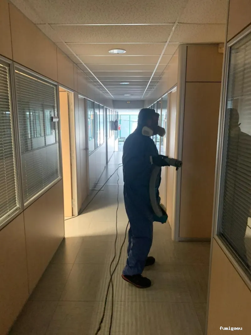 Sanitersur Control de Plagas SL