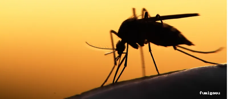 DESRATIZACIONES GRUPO MUÑOZ S.L