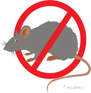 DESRATIZACIONES GRUPO MUÑOZ S.L