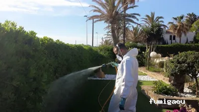 Desinfecciones Ramiro .