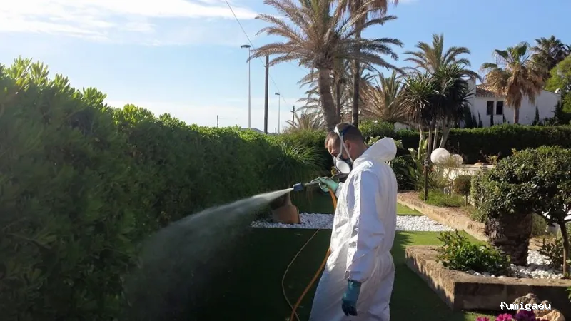 Desinfecciones Ramiro .