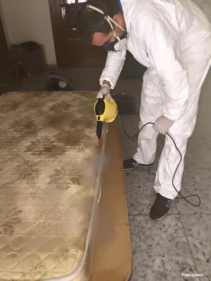 Desinfecciones Ramiro .