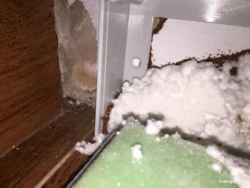 Desinfecciones Ramiro .