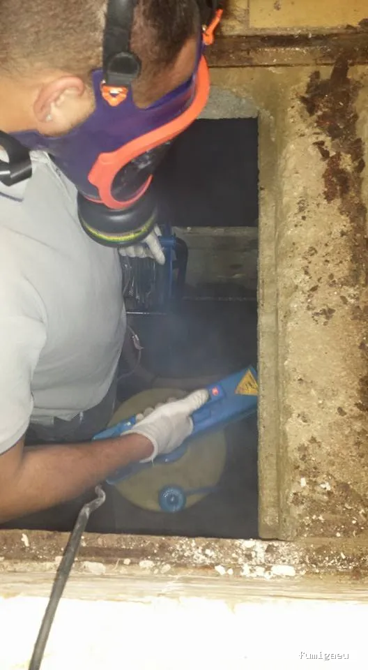 Desinfecciones Ramiro .