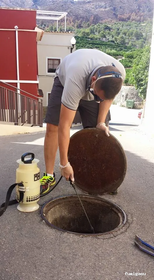 Desinfecciones Ramiro .