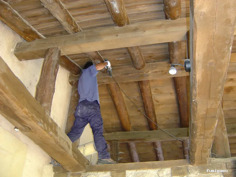 Desinfecciones Ramiro .