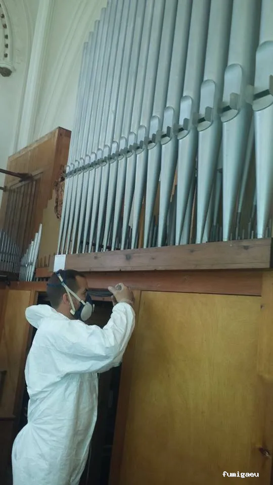 Desinfecciones Ramiro .