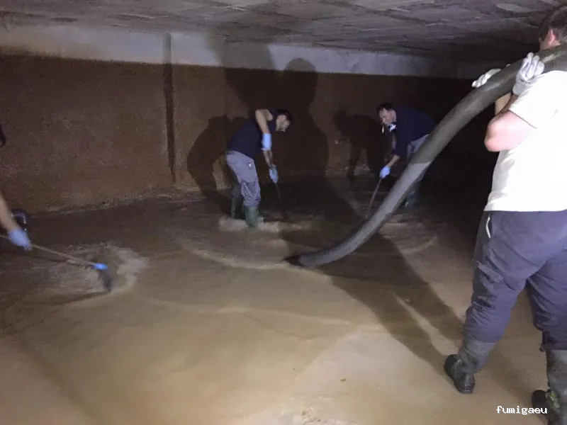 Desinfecciones Ramiro .