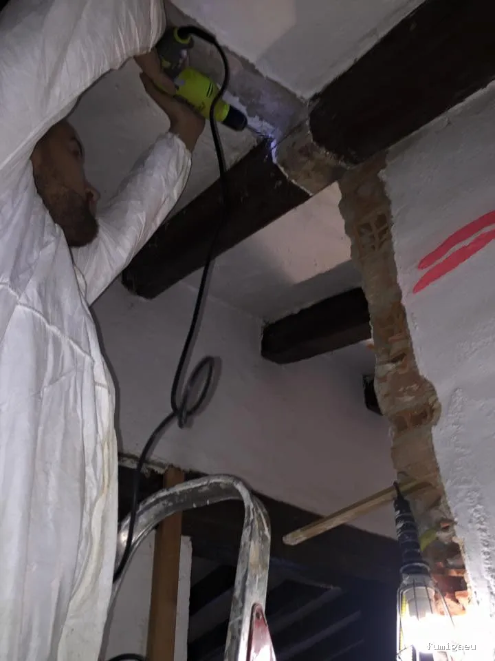 Desinfecciones Ramiro .