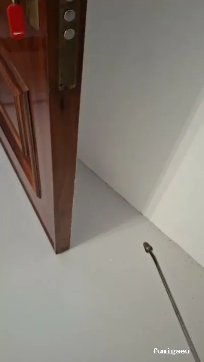 BiteFree Mosquito & Pest Control Málaga