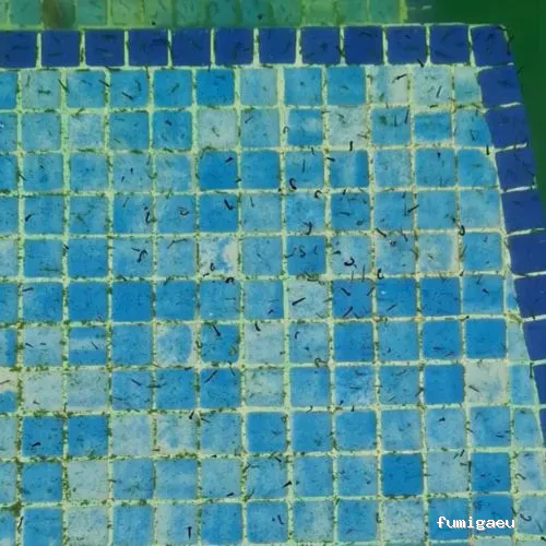 BiteFree Mosquito & Pest Control Málaga