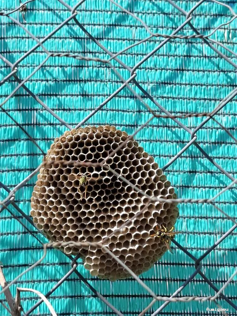 BiteFree Mosquito & Pest Control Málaga