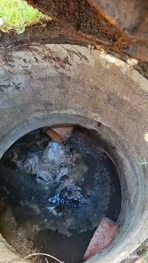 BiteFree Mosquito & Pest Control Málaga