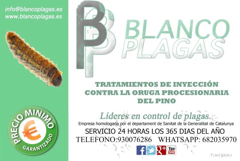 Blanco Plagas S.L