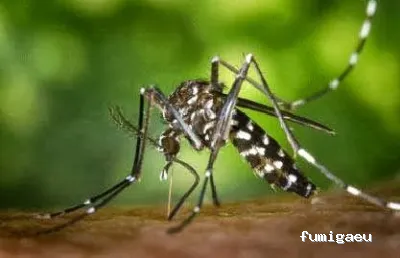 Sanimar control de plagas