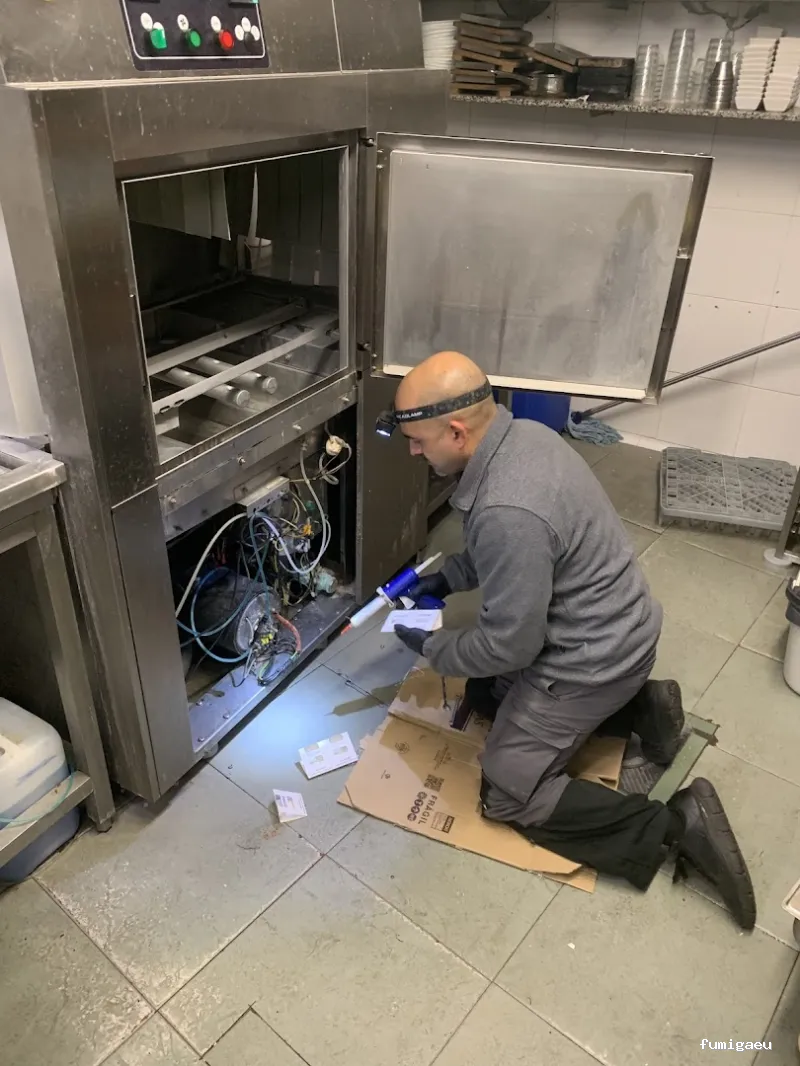 APOLO CONTROL DE PLAGAS, S.L.U